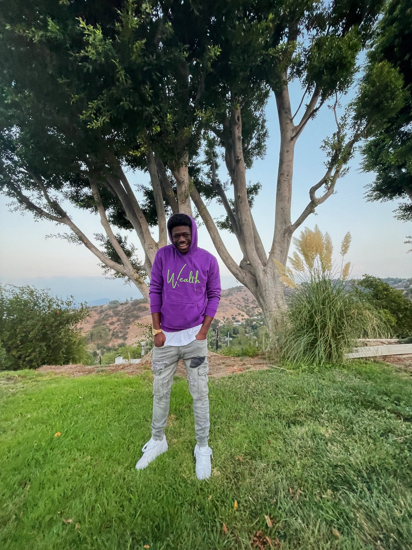 Wealth Colorway 🎨